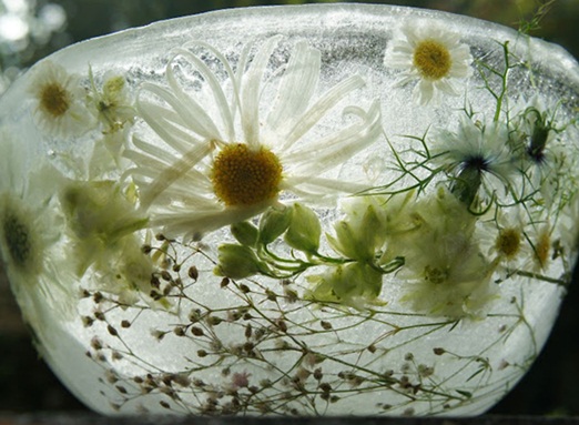 ice_flower_bowls3